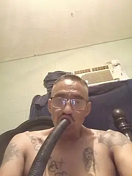 Innsaciable online show from June 2026 12:22:01 PM