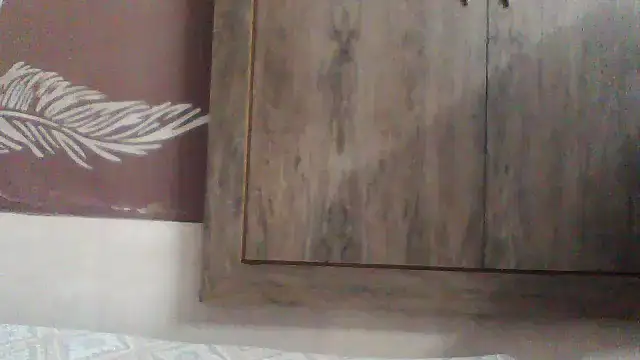 shalini fire online show from December 2025 11:01:01 AM