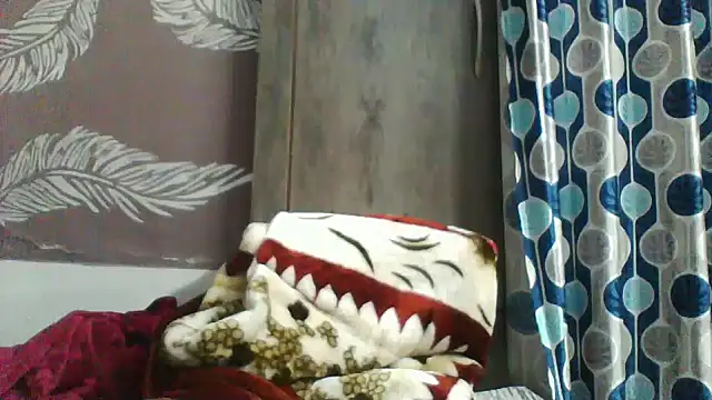 shalini fire online show from December 2025 06:35:01 PM