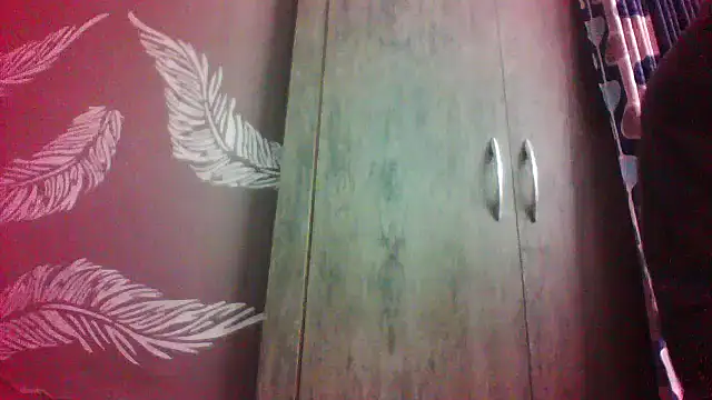 shalini fire online show from February 2026 09:53:02 AM