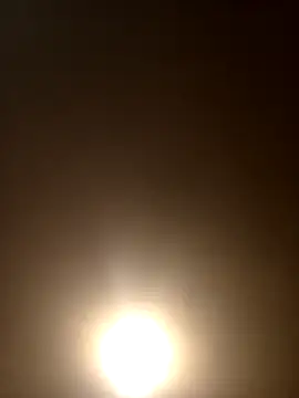 Morguisssz online show from September 2025 11:55:02 PM