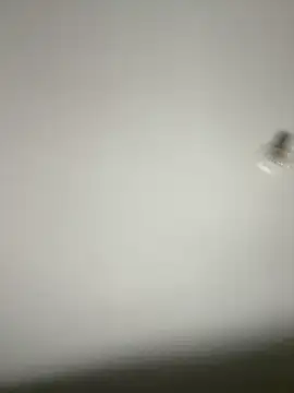 Morguisssz online show from October 2025 12:51:02 AM