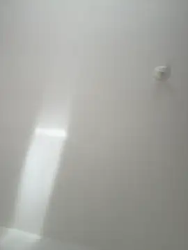 Morguisssz online show from November 2025 10:38:02 AM