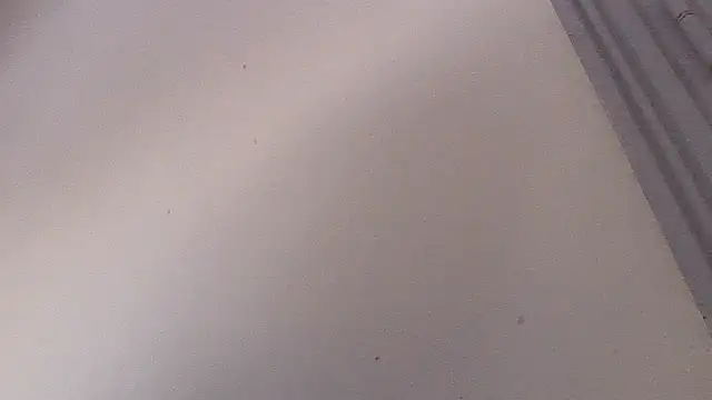 Frozenx online show from February 2026 11:20:02 AM