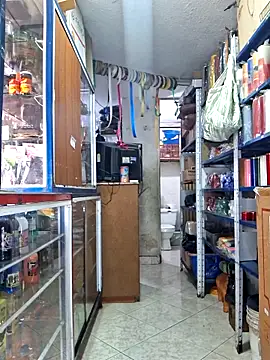 nidia2026 online show from December 2025 03:56:02 PM