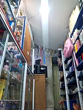 Snapshot of nidia2026 chatting on November 2025 03:34:02 PM nidia2026 online show from November 2025 03:34:02 PM