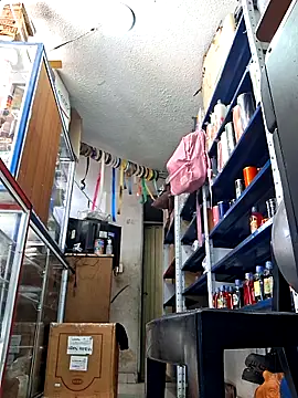 nidia2026 online show from February 2026 02:15:01 PM