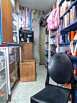 nidia2026 online show from February 2026 04:15:02 PM