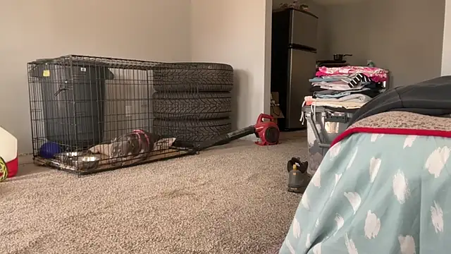 skarfosbabes69 online show from March 2026 04:30:02 PM