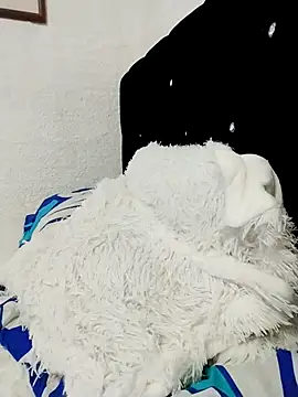 ElizabethWeil online show from December 2025 03:18:02 PM