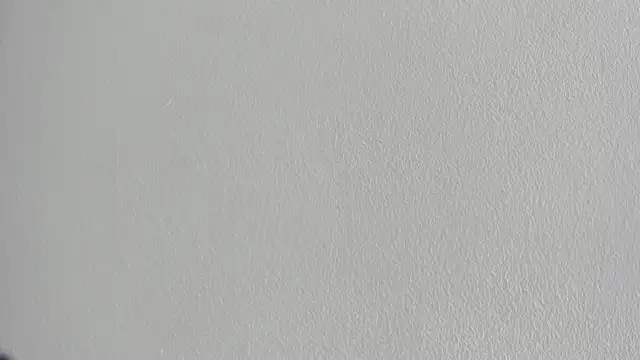 briannaduque online show from September 2025 06:57:02 PM