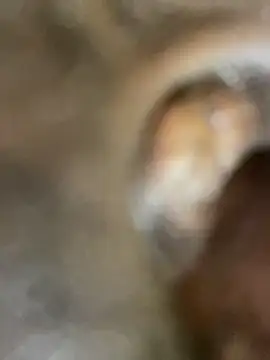 Snapshot of GangsterCouple-Aimy-Jonny chatting on February 2026 12:53:01 AM GangsterCouple-Aimy-Jonny online show from February 2026 12:53:01 AM