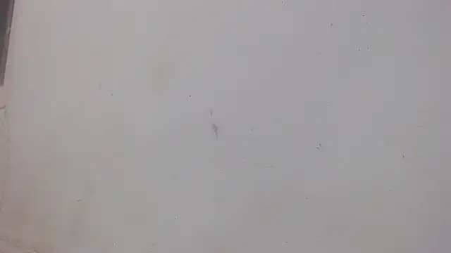 danilo302209 online show from February 2025 01:02:02 AM