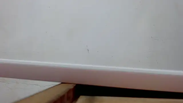 danilo302209 online show from March 2025 10:39:01 AM