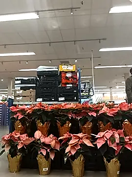 Snapshot of kobrashekyng chatting on November 2025 03:37:01 PM kobrashekyng online show from November 2025 03:37:01 PM