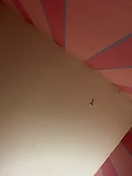 mikeJak online show from March 2025 07:09:02 AM