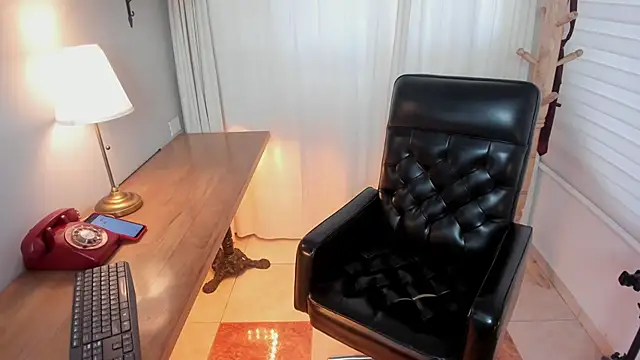 Pamela Johnsonn online show from February 2026 05:46:02 PM