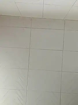 Darly Gomez online show from February 2025 08:21:01 PM