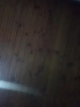 Darly Gomez online show from January 2025 04:06:01 AM