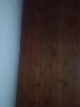 Darly Gomez online show from February 2025 11:52:02 PM