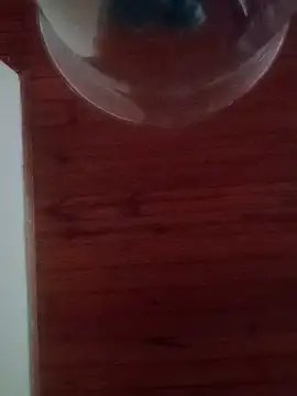 Darly Gomez online show from February 2025 10:16:02 PM