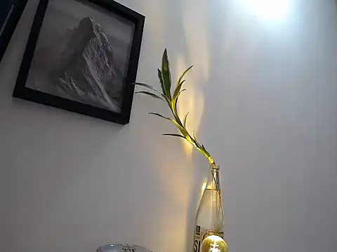 aria jhonsson online show from January 2026 03:51:02 PM