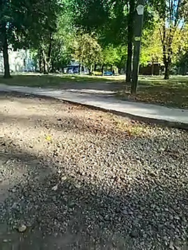 Snapshot of sanek1995sexx chatting on September 2025 12:45:01 PM sanek1995sexx online show from September 2025 12:45:01 PM