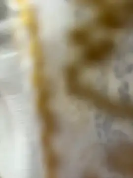 Snapshot of HoneyBearCpl chatting on October 2025 03:33:01 PM HoneyBearCpl online show from October 2025 03:33:01 PM