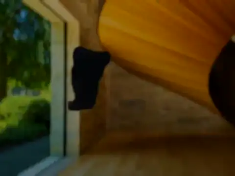 CuteMan33 online show from August 2026 12:52:02 AM