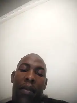 zuludog online show from April 2026 11:33:01 PM