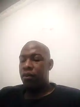 zuludog online show from May 2026 03:47:02 AM