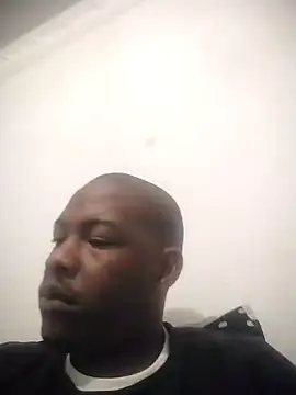 zuludog online show from May 2026 03:41:01 AM