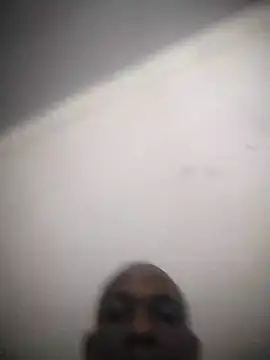 zuludog online show from July 2026 03:52:01 AM
