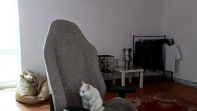 esajukyy online show from May 2026 05:06:01 AM