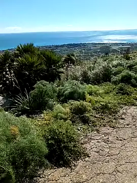 Samira-Summer online show from February 2026 10:17:02 AM