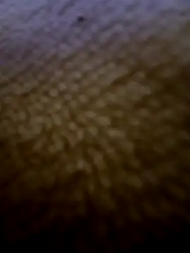 houy111111 online show from February 2026 05:51:01 PM