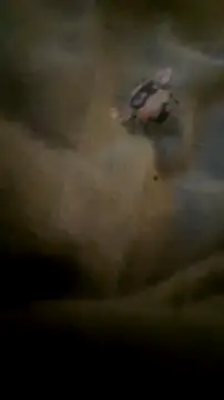 houy111111 online show from September 2025 06:48:01 PM