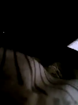 houy111111 online show from January 2026 05:53:01 PM