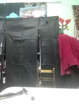 SiperoXxX online show from January 2025 12:12:01 AM