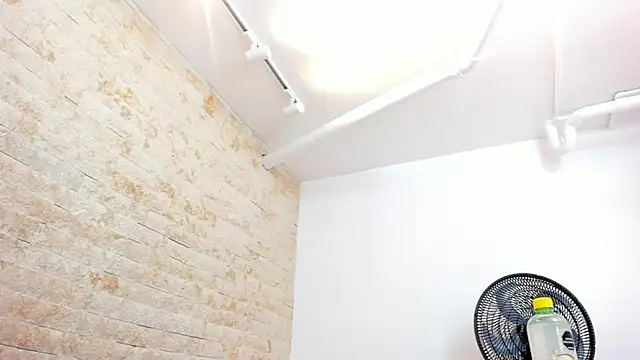 mia roldan  online show from November 2025 12:41:01 PM