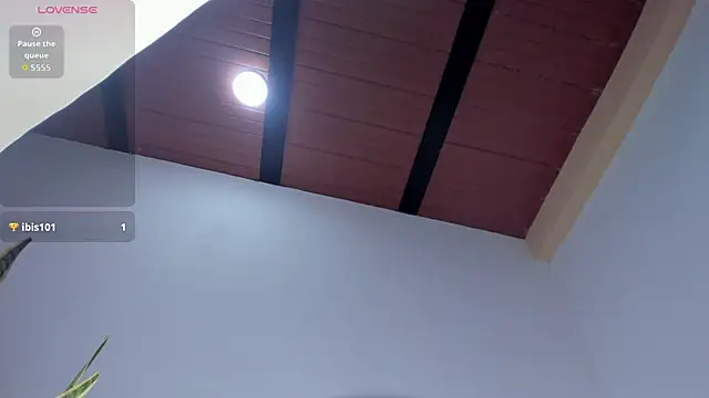 HaleyAmaya online show from November 2025 07:13:02 PM