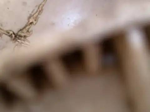 small131 online show from March 2025 06:29:01 AM