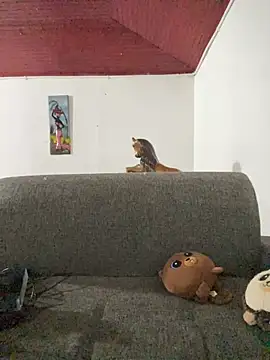 Junihn0 online show from October 2025 04:24:01 AM