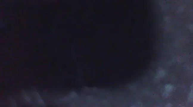 Penis58 online show from March 2025 02:58:01 PM