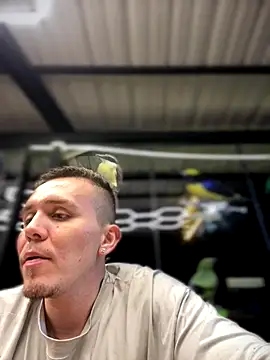 Snapshot of adam-rivera chatting on November 2025 12:36:01 AM adam-rivera online show from November 2025 12:36:01 AM