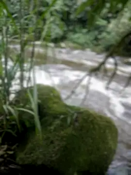 Snapshot of adam-rivera chatting on November 2025 08:35:01 PM adam-rivera online show from November 2025 08:35:01 PM