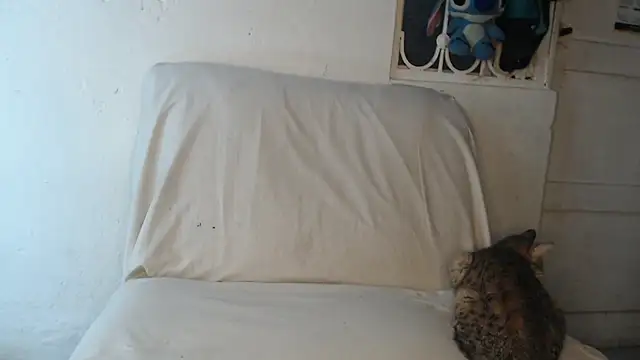 pervertsteens3 online show from October 2025 04:55:02 AM