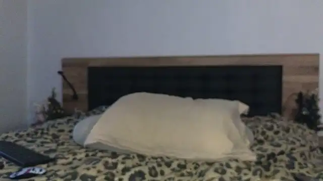 vera jim online show from December 2025 08:27:02 AM