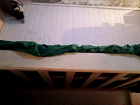 frotasso online show from February 2025 05:48:02 AM