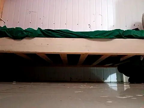 frotasso online show from January 2025 12:40:02 PM